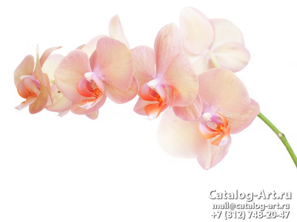 картинки для фотопечати на потолках, идеи, фото, образцы - Потолки с фотопечатью - Розовые орхидеи 46